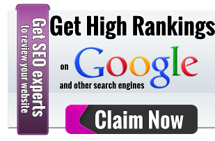 seo audit